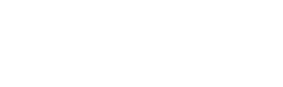 sE Electronics